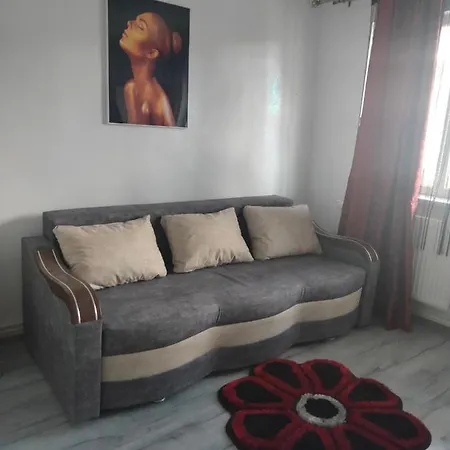 Apartament Geo Nehoiu Exterior photo
