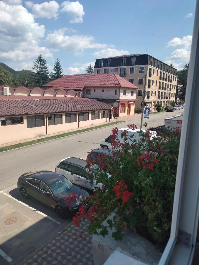 Apartment Geo Nehoiu