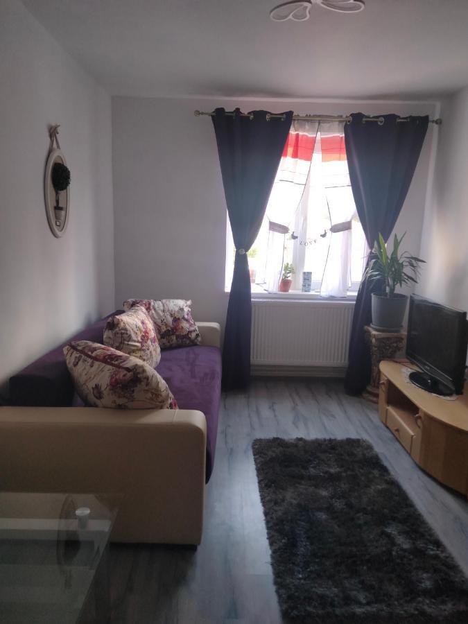 Apartment Geo Nehoiu